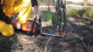 Best Lot and Land Clearing  in Brunswick, MD