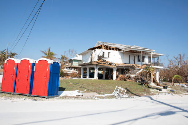 Best Emergency Tree Removal  in Brunswick, MD